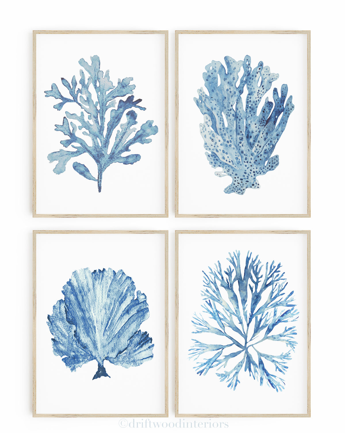 Sky Blue Coral Seaweed Set of 4 Wall Art Prints | Kerri Shipp Driftwood Interiors