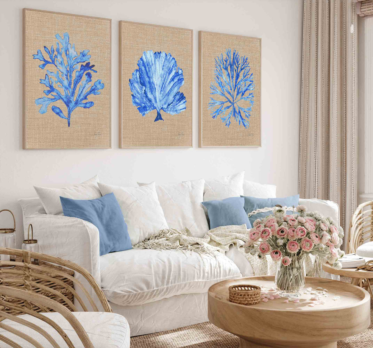 Coral Seaweed Set of 3 Prints in Cobalt Blue