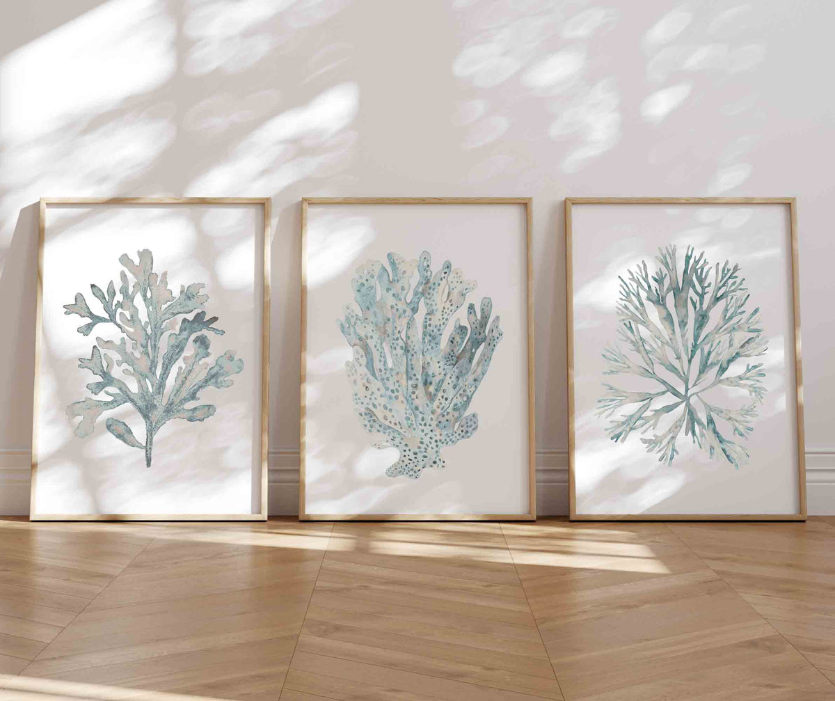 Green Beige Coastal Wall Art Set