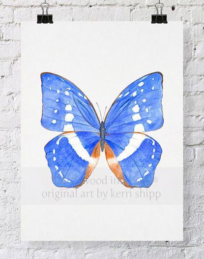 Butterfly in Cobalt - Driftwood Interiors