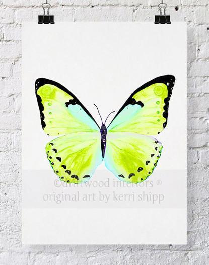 Butterfly in Green - "Papillon Verte" - Driftwood Interiors