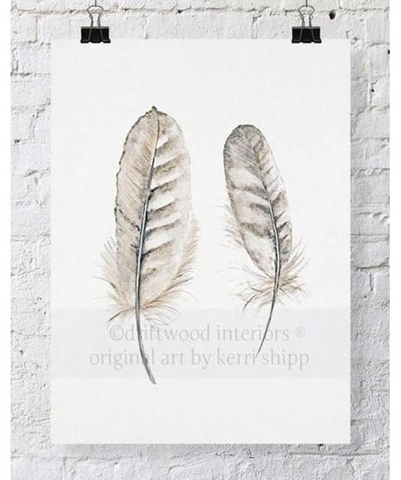 "Collected" Feather Wall Art Print - Driftwood Interiors