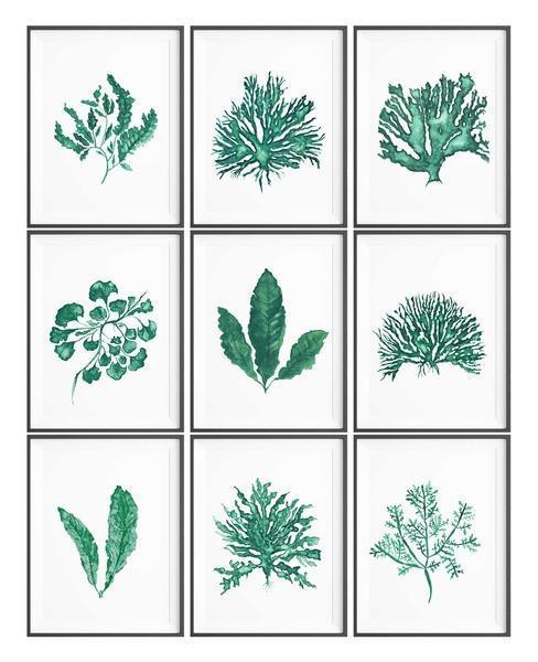 Wall Art Set of 3 - Wall Art Set of 6 - Wall Art Set of 9 - Driftwood Interiors