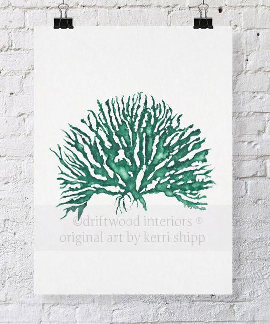 Wall Art Australia - Sea Coral IV Wall Art Print in Emerald Green by Kerri Shipp Driftwood Interiors
