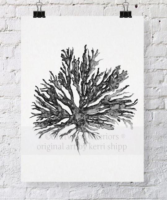 Sea Coral II in Charcoal - Driftwood Interiors