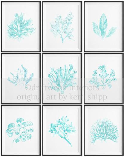 Sea Coral Prints in Green - Set of 9 Prints - Driftwood Interiors