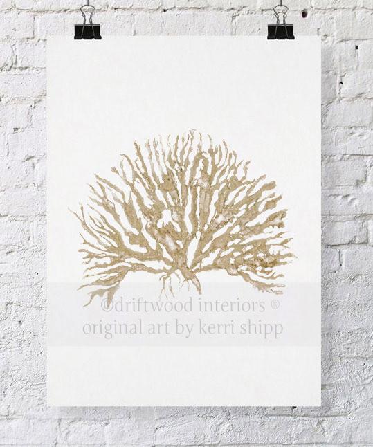 Sea Coral IV in Natural - Driftwood Interiors