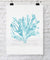 Sea Coral in French Blue - Driftwood Interiors