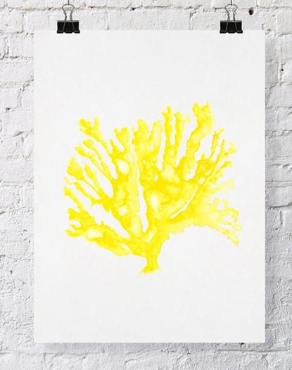 Sea Coral in Marigold Yellow - Driftwood Interiors