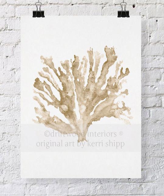 Sea Coral in Natural - Driftwood Interiors