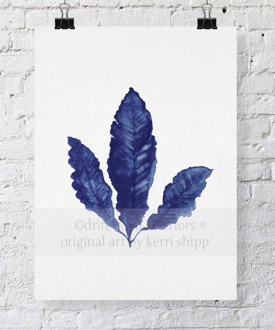 Sea Fan II in Denim - Driftwood Interiors