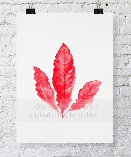 Sea Fan II in Ruby - Driftwood Interiors