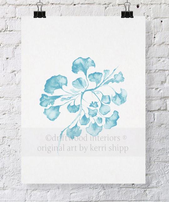 Sea Fan IV in French Blue - Driftwood Interiors