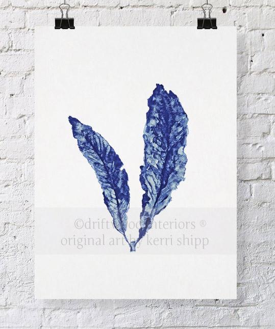 Sea Fan in Denim - Driftwood Interiors