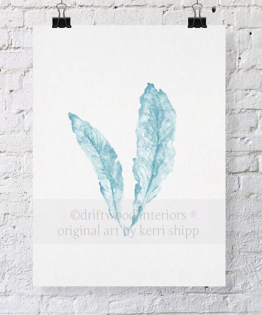 Sea Fan in French Blue - Driftwood Interiors