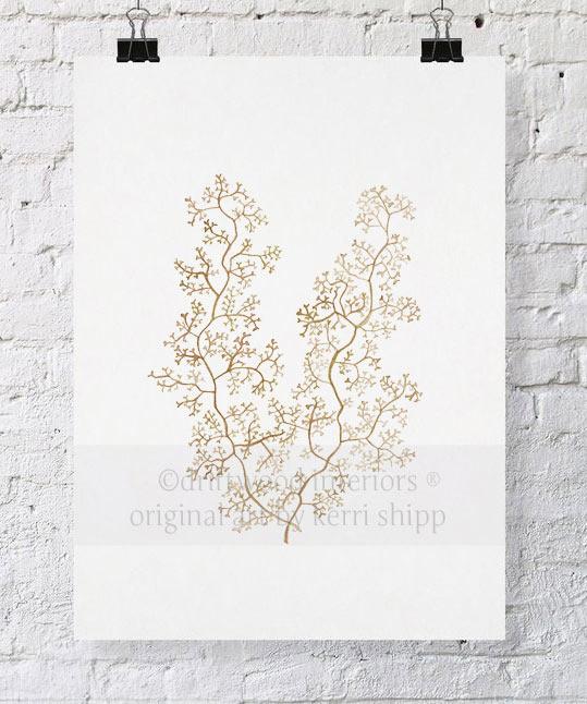 Sea Fern II in Natural - Driftwood Interiors