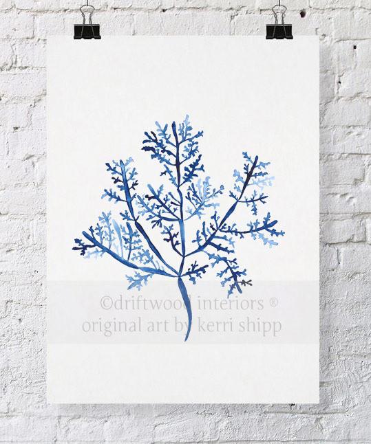 Sea Fern III in Denim - Driftwood Interiors