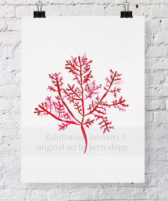 Sea Fern III in Ruby - Driftwood Interiors