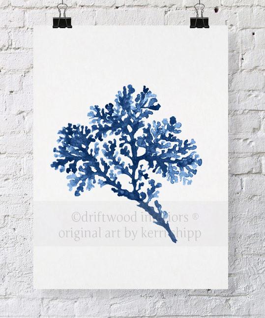 Seagrass in Denim - Driftwood Interiors