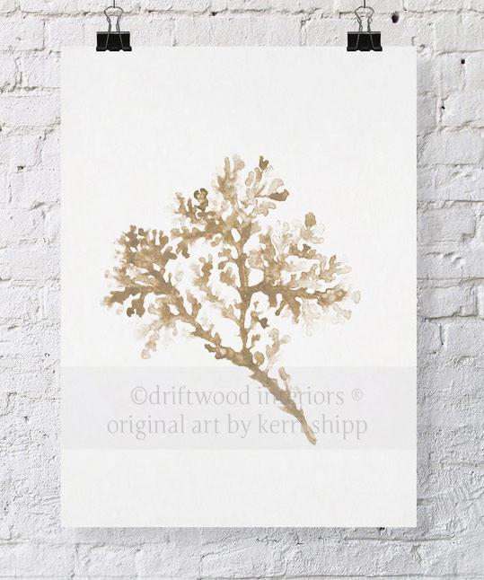 Seagrass in Natural - Driftwood Interiors