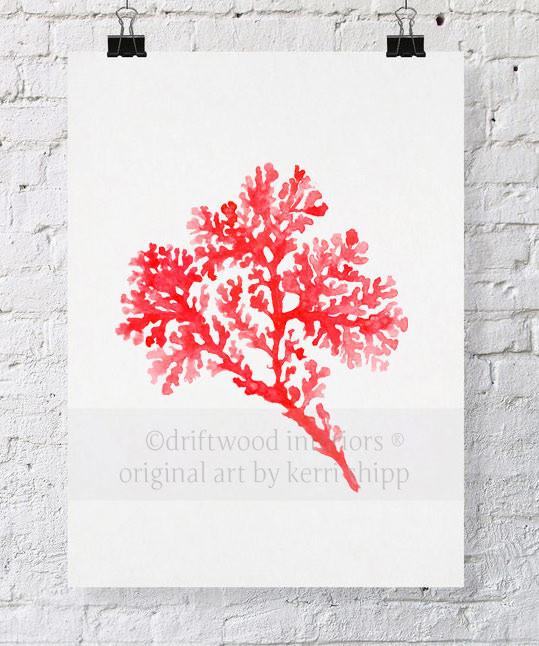 Seagrass in Ruby - Driftwood Interiors