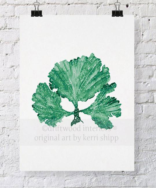 Seaweed II in Emerald - Driftwood Interiors