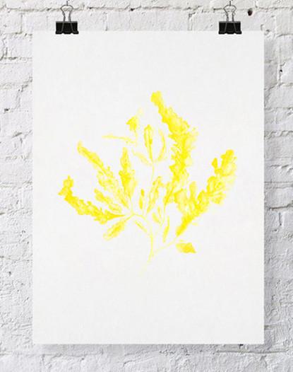 Seaweed in Marigold Yellow - Driftwood Interiors