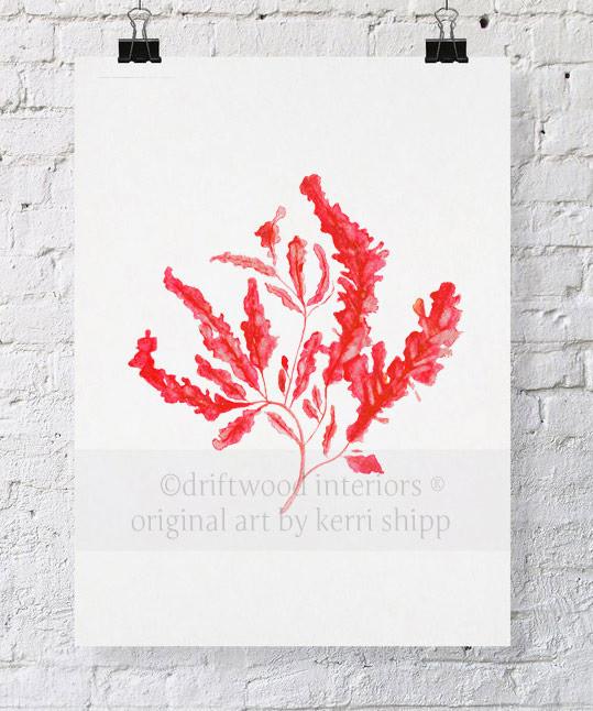 Seaweed in Ruby - Driftwood Interiors
