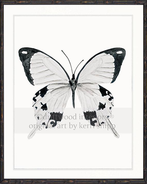Butterfly in Black and White - "The Monarchist"