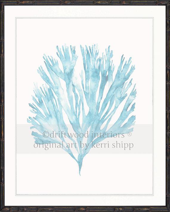 Sea Fan V in French Blue - Driftwood Interiors