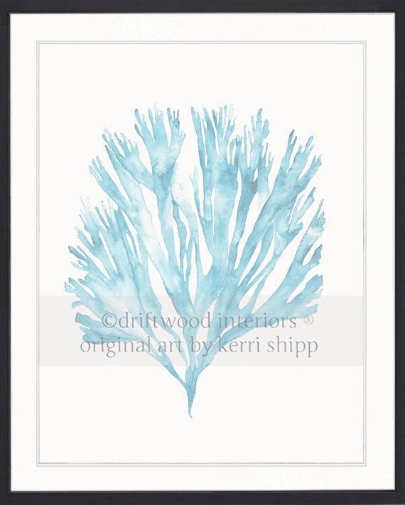 Sea Fan V in French Blue - Driftwood Interiors