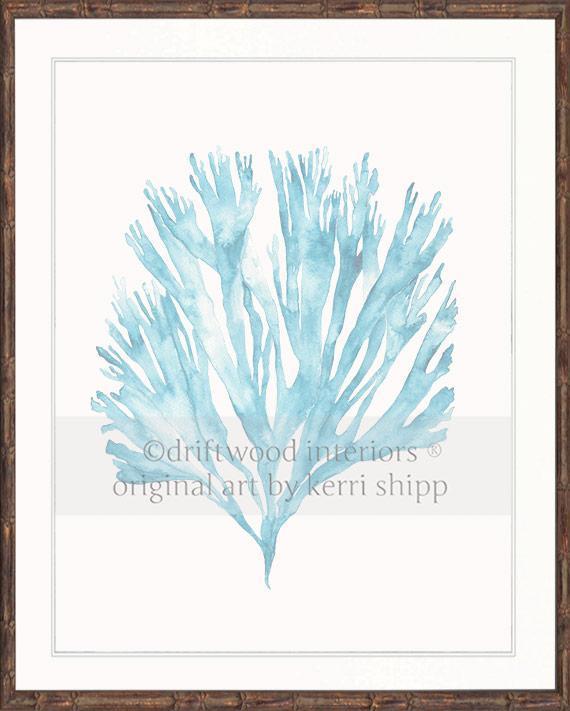 Sea Fan V in French Blue - Driftwood Interiors