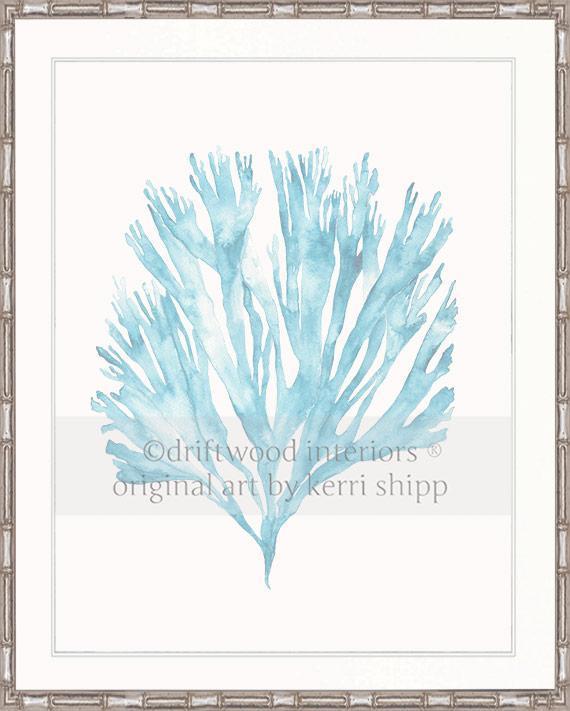 Sea Fan V in French Blue - Driftwood Interiors