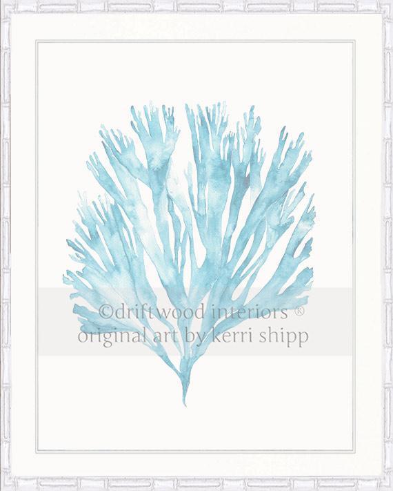 Sea Fan V in French Blue - Driftwood Interiors
