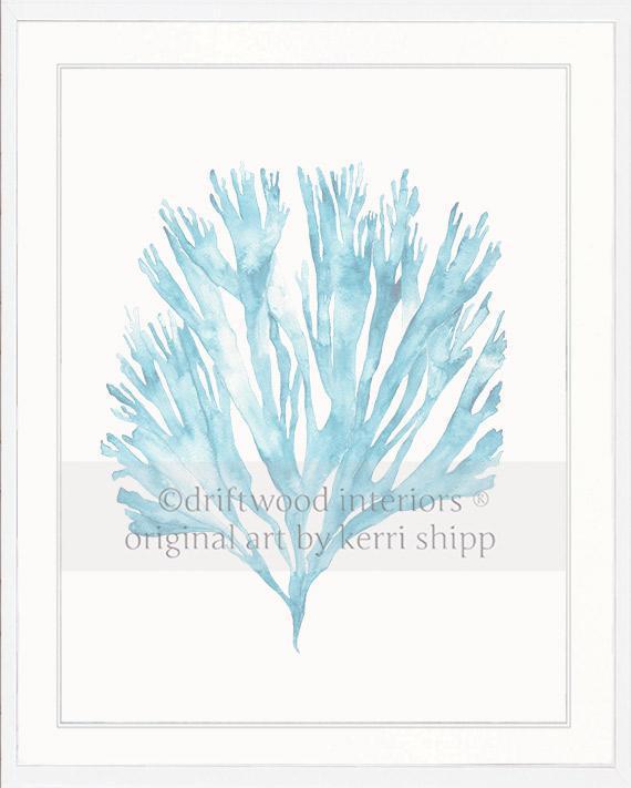 Sea Fan V in French Blue - Driftwood Interiors