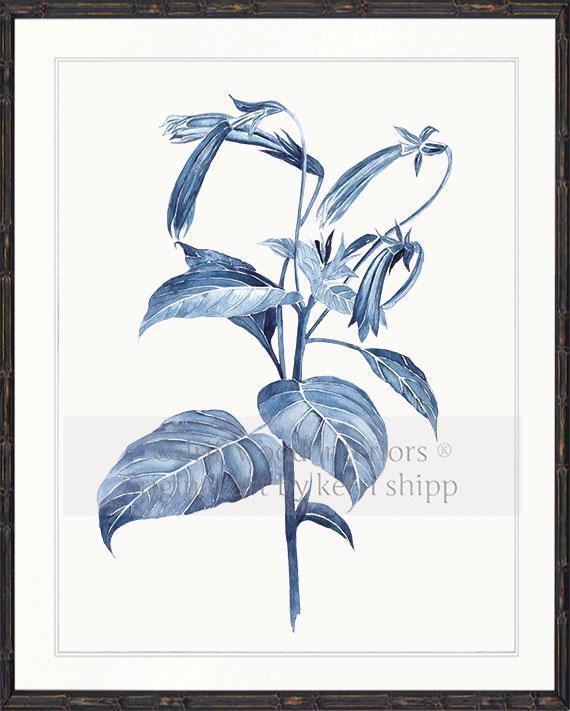 Botanical Wall Art Print - Botanical Study III in Pale Blue - Driftwood Interiors