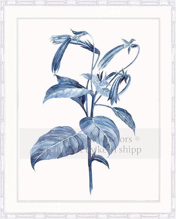 Botanical Wall Art Print - Botanical Study III in Pale Blue - Driftwood Interiors