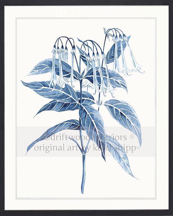 Botanical Wall Art Prints - Botanical Study II in Pale Blue - Driftwood Interiors