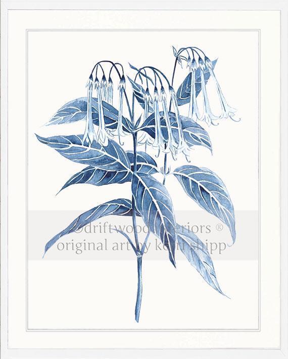 Botanical Wall Art Prints - Botanical Study II in Pale Blue - Driftwood Interiors