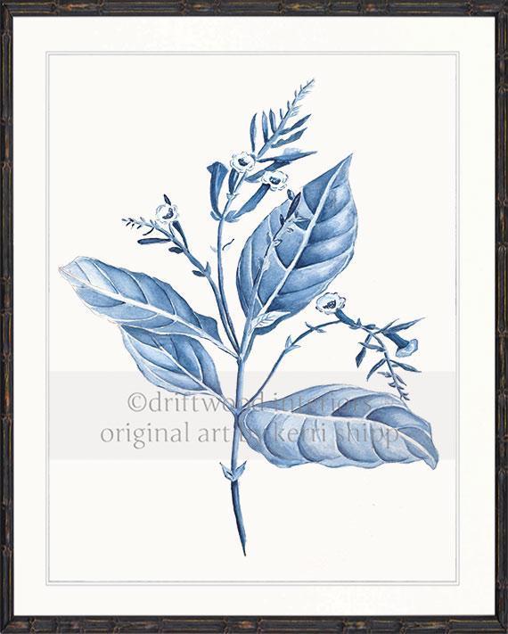 Botanical Wall Art Prints - Botanical Study I in Blue - Driftwood Interiors