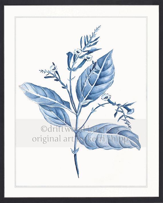 Botanical Wall Art Prints - Botanical Study I in Blue - Driftwood Interiors