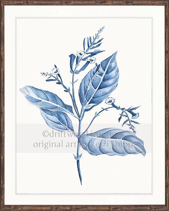 Botanical Wall Art Prints - Botanical Study I in Blue - Driftwood Interiors
