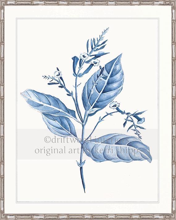 Botanical Wall Art Prints - Botanical Study I in Blue - Driftwood Interiors