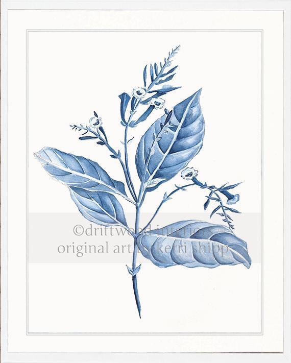 Botanical Wall Art Prints - Botanical Study I in Blue - Driftwood Interiors