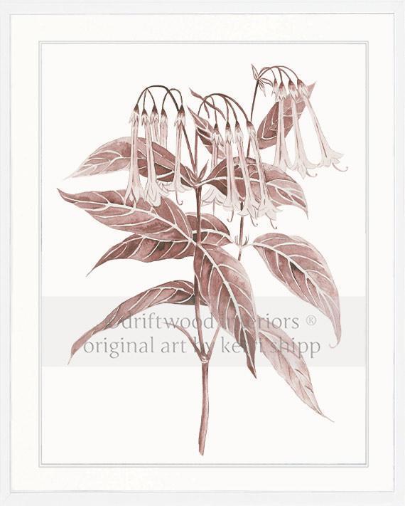 Botanical Wall Art Print - Botanical Study II in Blush Pink - Driftwood Interiors