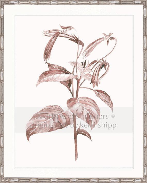 Botanical Wall Art Print - Botanical Study III in Blush Pink - Driftwood Interiors