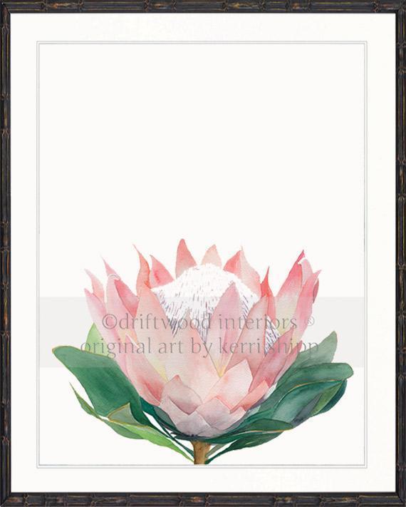 Pink Protea I - Driftwood Interiors
