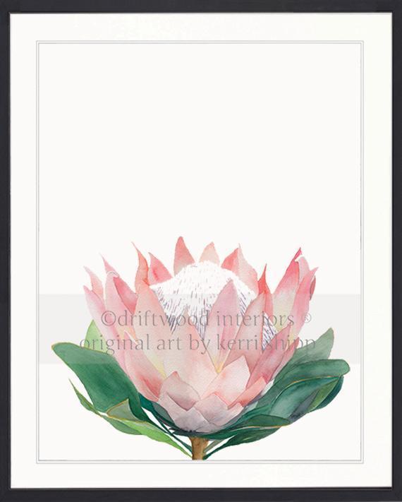 Pink Protea I - Driftwood Interiors