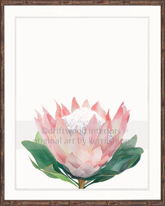Pink Protea I - Driftwood Interiors