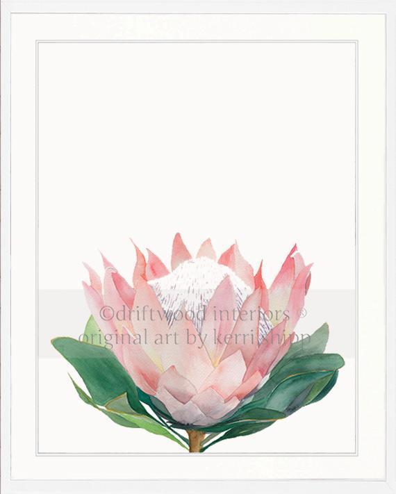 Pink Protea I - Driftwood Interiors